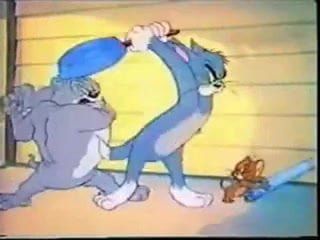 Armani reccomend tom and jerry gay sex