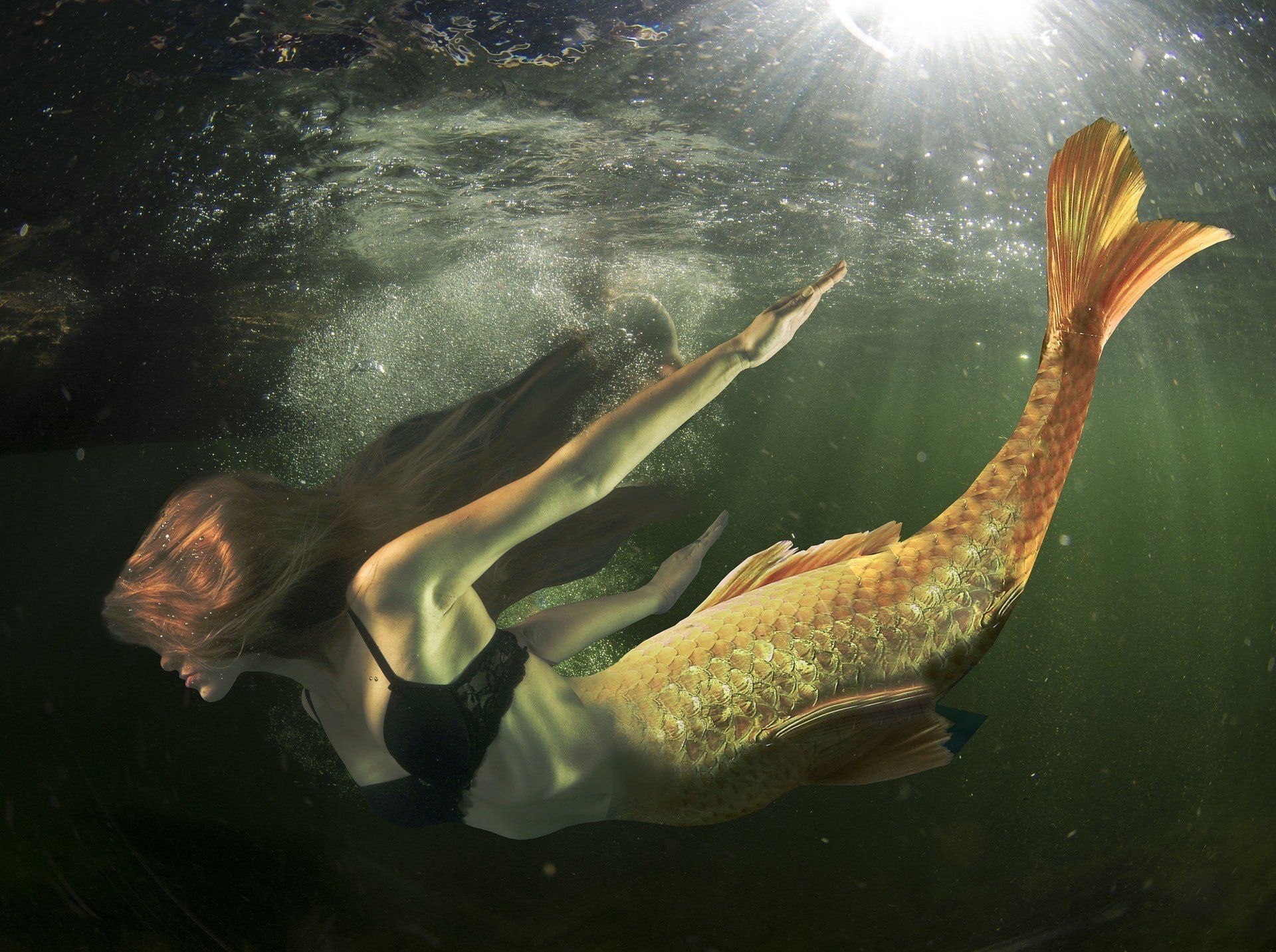 Tex-Mex reccomend mermaids really breathe underwater compilation