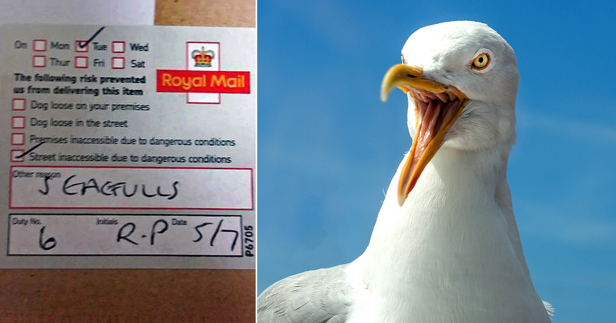 Delivery royal mail postgirl