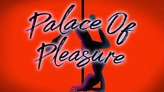 The L. reccomend meet donna palace pleasure the