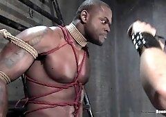 best of Black male slaves naked