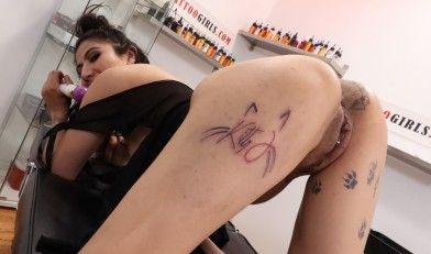 Dragonfly reccomend kitten tattoo