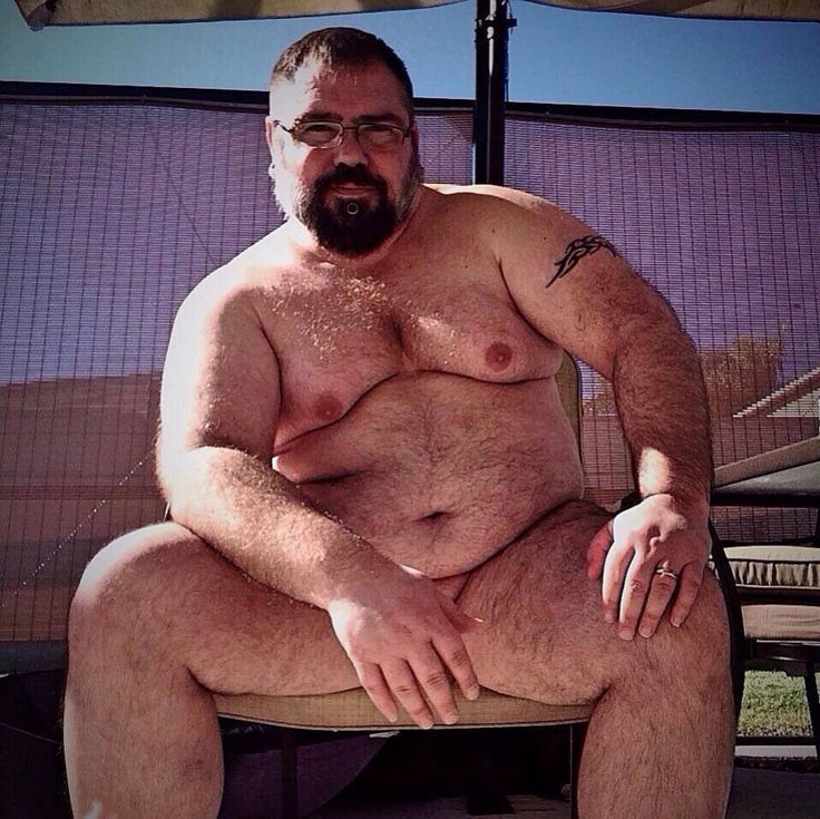 Fat daddy bear