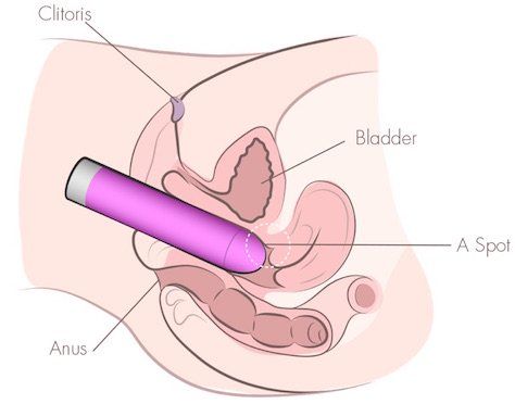 best of Orgasm to to Best learn vibrator