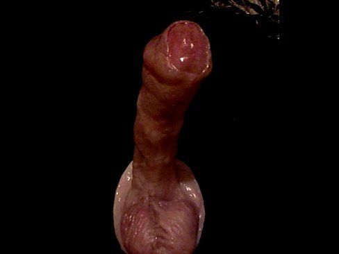 best of Dildo Movable foreskin cock