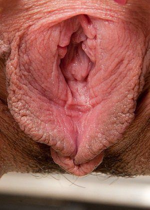 Close up to the pussy