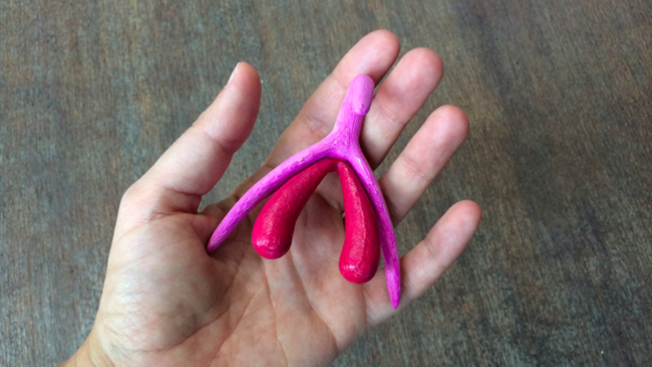 Penis shape clitoris