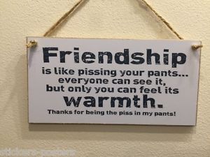 Friendship is like pissing your pants