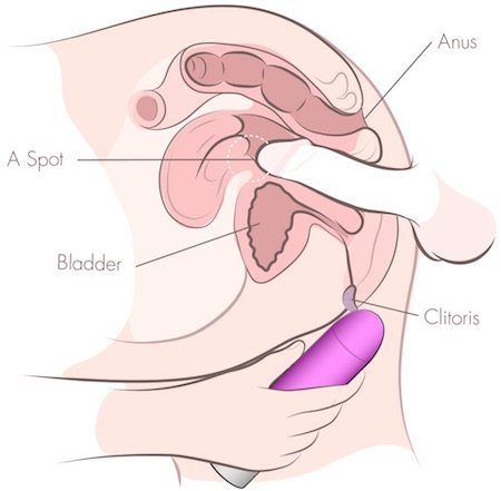 Proper use of vibrator on clitoris
