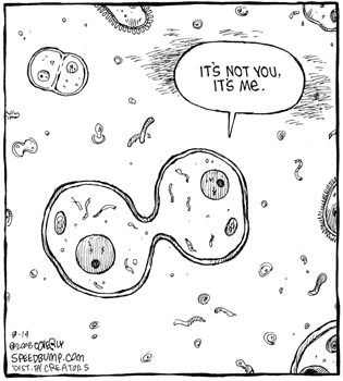 Alias reccomend Funny meiosis cartoons