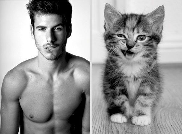 Green T. reccomend Hot guys and cats