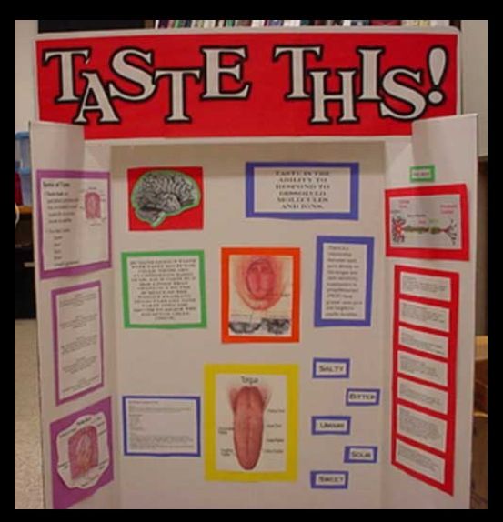 Fun and easy science projects for 8th graders