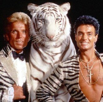 Siegfried and roy gay