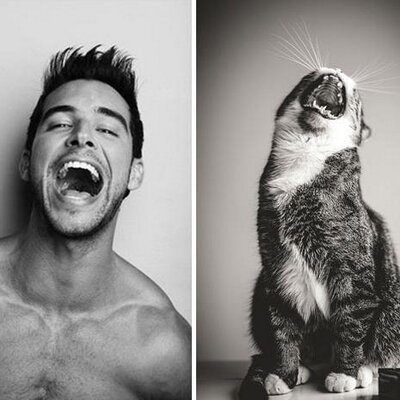 Rainbow reccomend Hot guys and cats