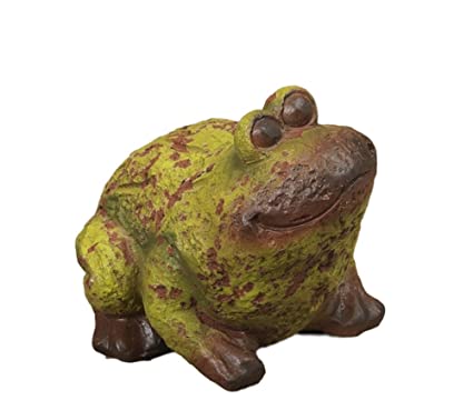 Lady L. reccomend Chubby frog care