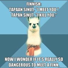 Funny finnish quotes