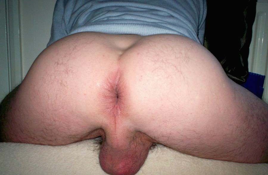 Gay ass hole porn galleries