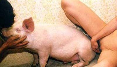 Girl xex with pig free pic