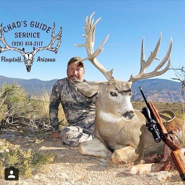 Big mule deer kill on arizona strip