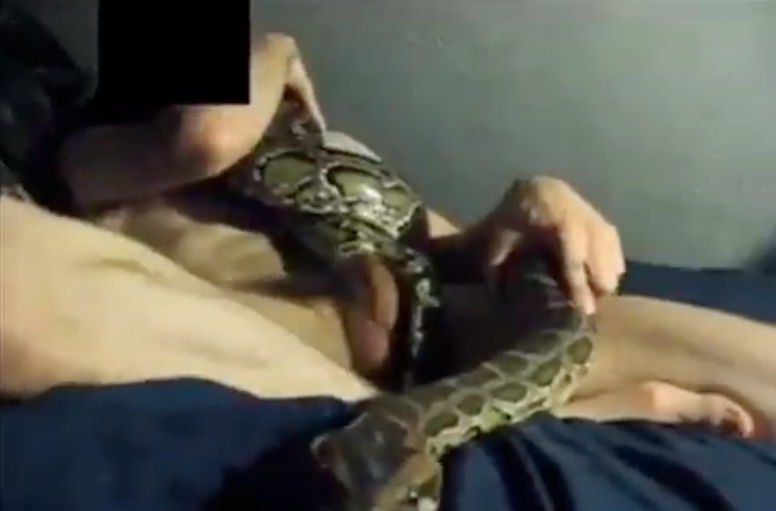 Girls fuching snakes