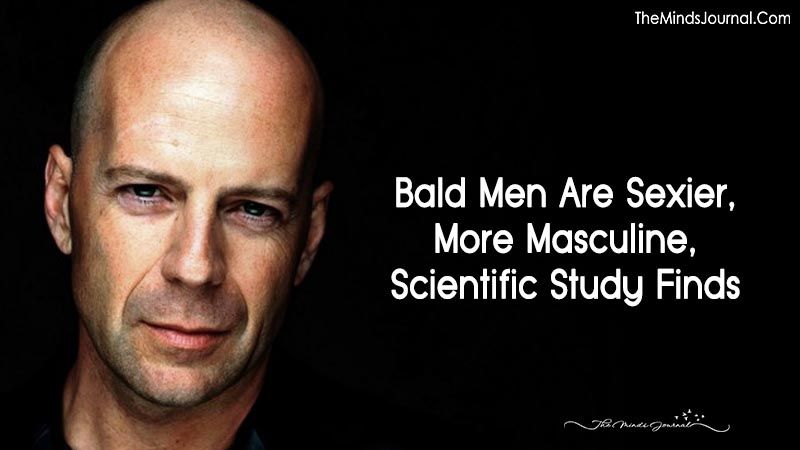 Hound D. reccomend Bald men are sexy