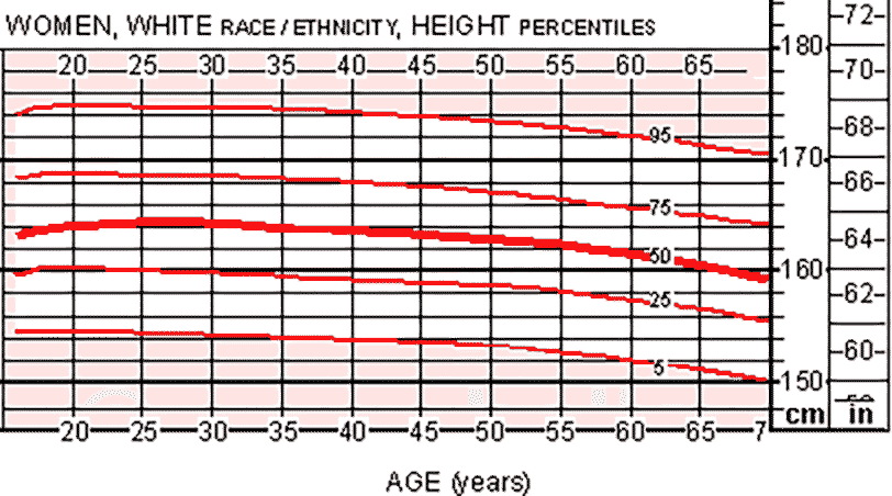 Tootsie reccomend Average height and weight for adults