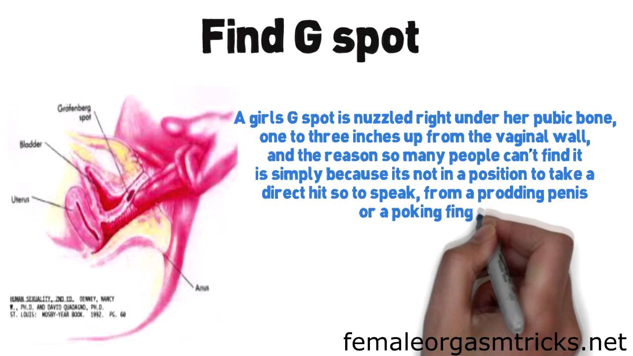 Wild R. reccomend Sex g spot positions