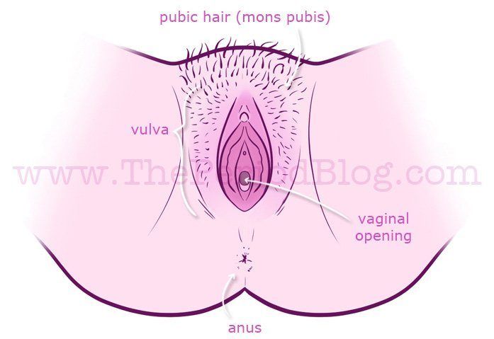 best of The hole Find vagina