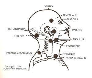 The B. reccomend Facial and neck lymph nodes