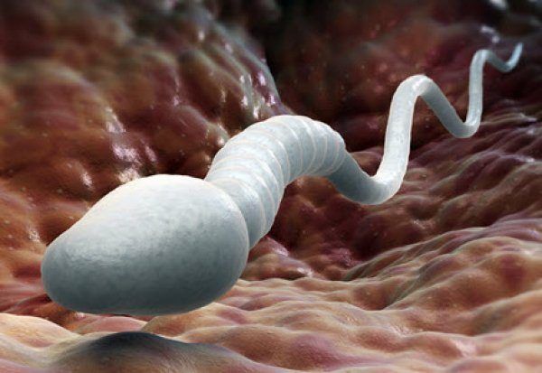 Sperm good for women