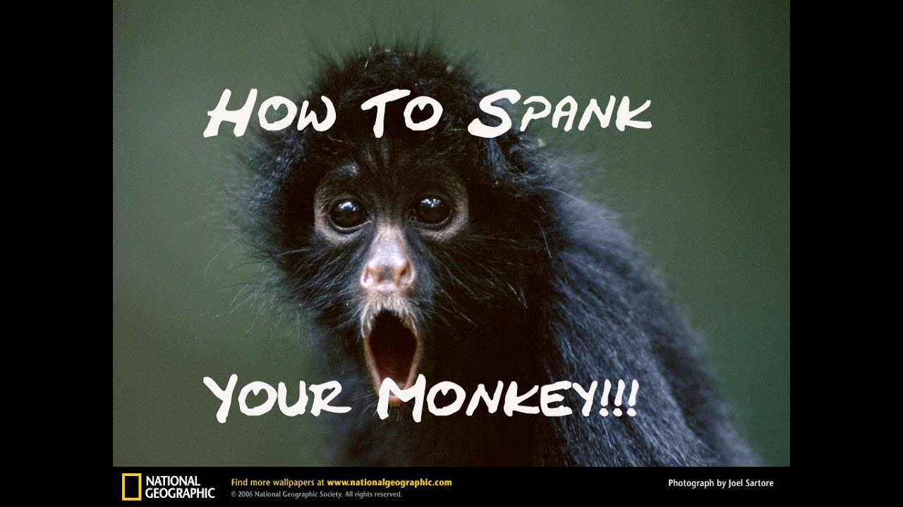 Blue L. reccomend Spank this monkey not yours