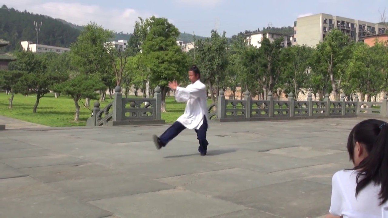 The K. reccomend Wudang mantis fists