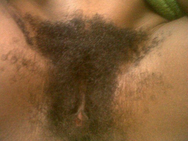 Hairy pussy of haitian porno