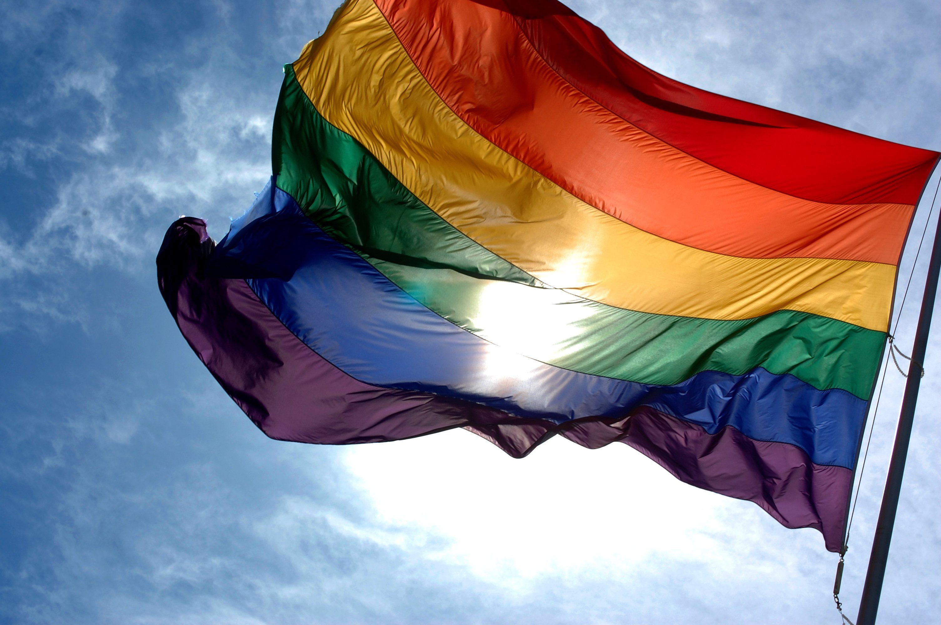 Room S. reccomend Lesbian gay queer criticism