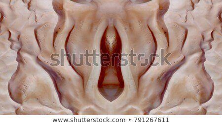 Hubble reccomend Photographs of the clitoris