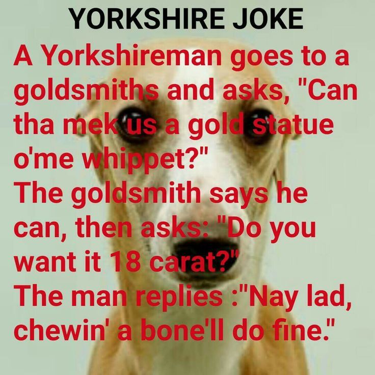 Coma reccomend Yorkshire jokes uk