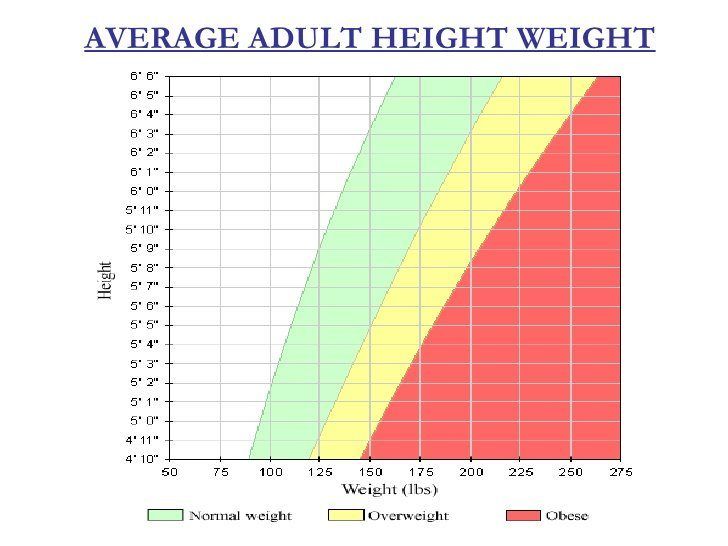 Mustard reccomend Average height and weight for adults