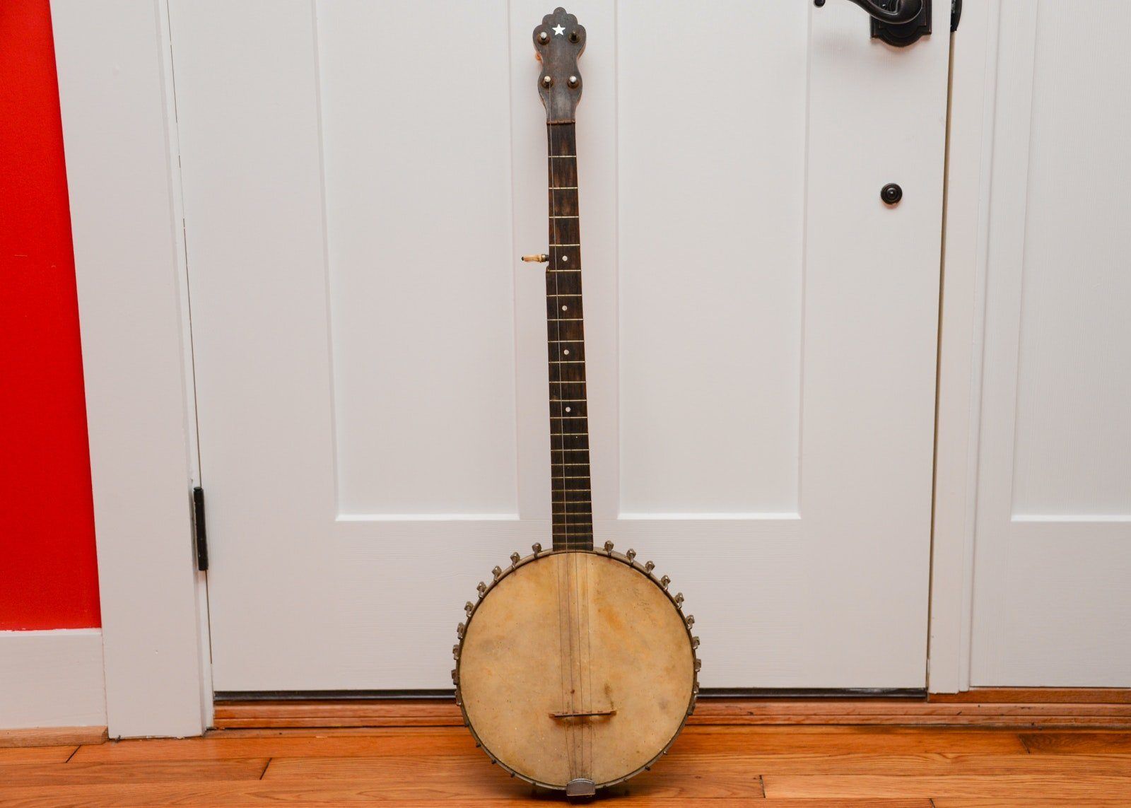 Thunderhead reccomend Banjo with chubby parkers autograph