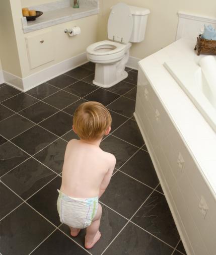 Angelfish reccomend Bathroom peeing pissing pooping potty toilet