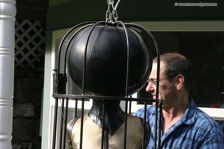 best of Cage bondage Bird
