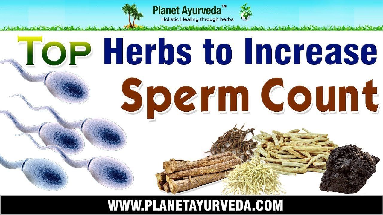 best of Sperm increase Medication count to