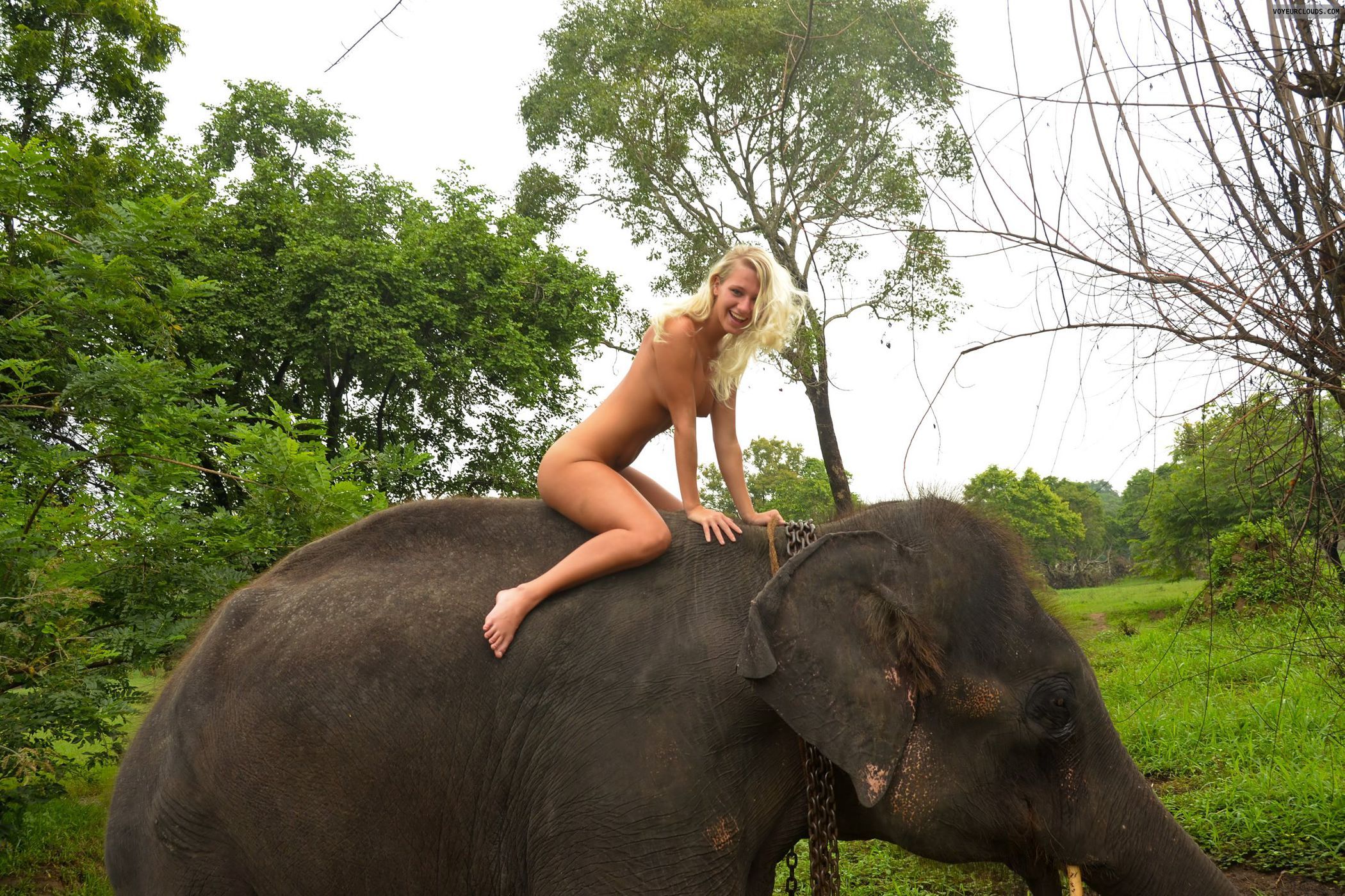Girl and elephants sex