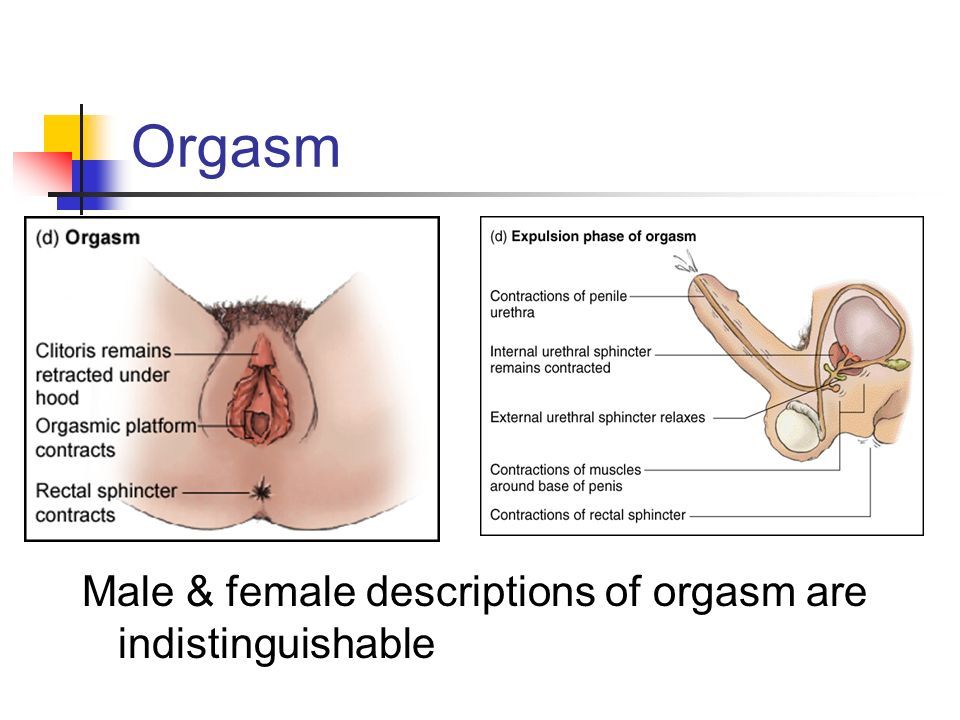 Jewel reccomend Orgasm rectal response