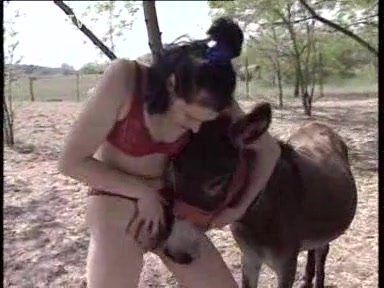Black Girl Fuking With Donkey.