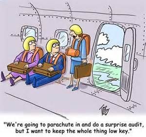 Funny audit cartoons