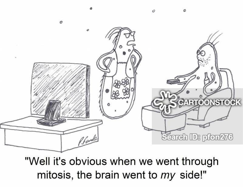 Funny meiosis cartoons