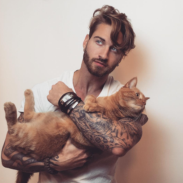 HB reccomend Hot guys and cats