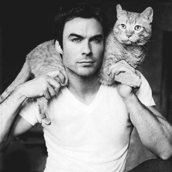 best of Guys and cats Hot