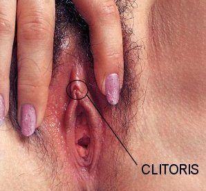 Mooch reccomend How to find the clitoris on a virgin