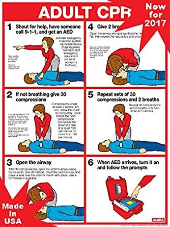 Foul P. reccomend How to perform adult cpr
